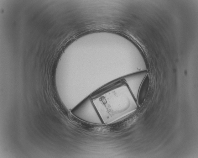 X0000066080117200604071741