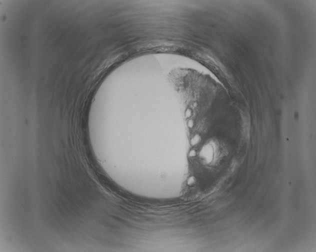 X0000066080119200604071741