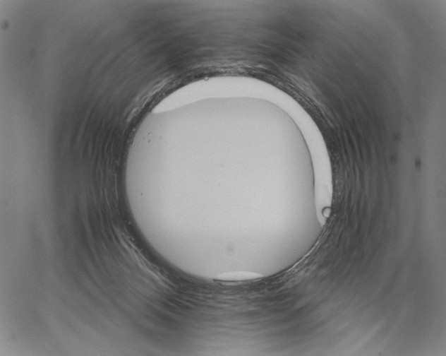 X0000066080120200604071741