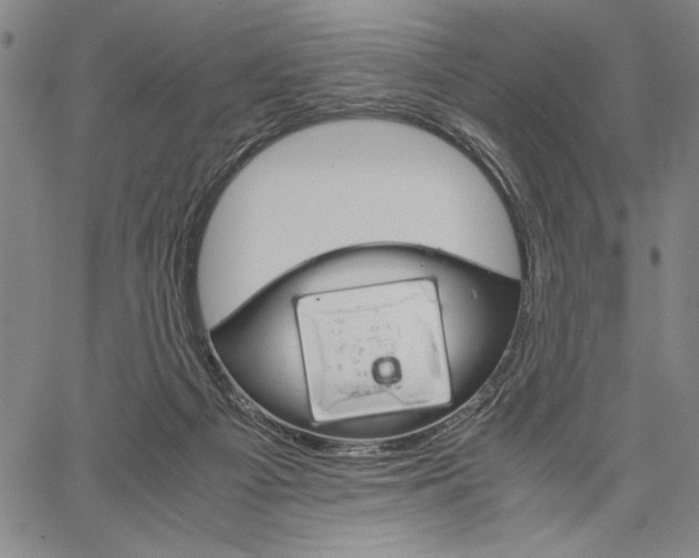 X0000066080121200604071741