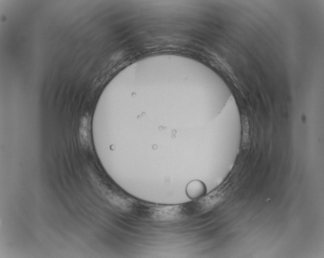 X0000066080122200604071741