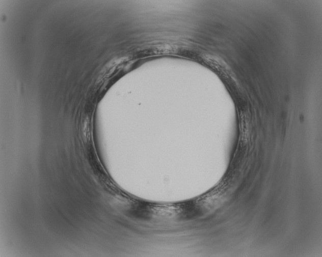 X0000066080123200604071741