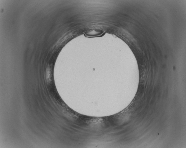 X0000066080124200604071741