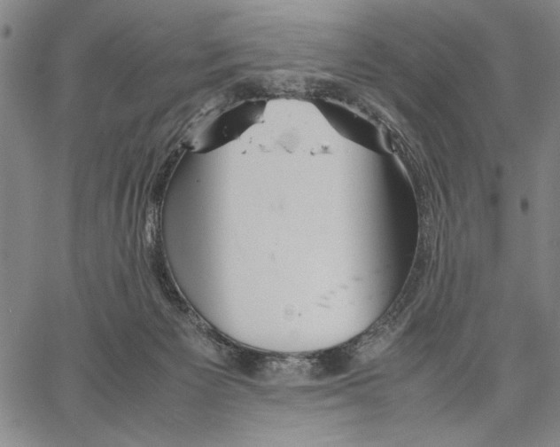 X0000066080125200604071741