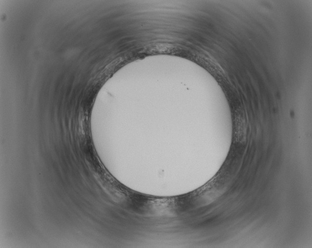 X0000066080126200604071741