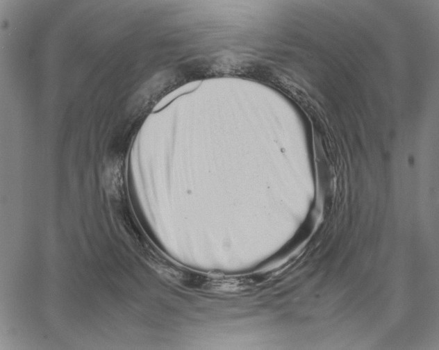 X0000066080127200604071741