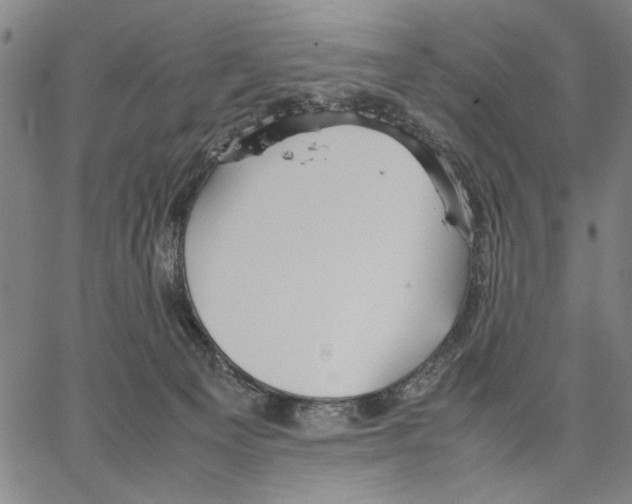 X0000066080129200604071741