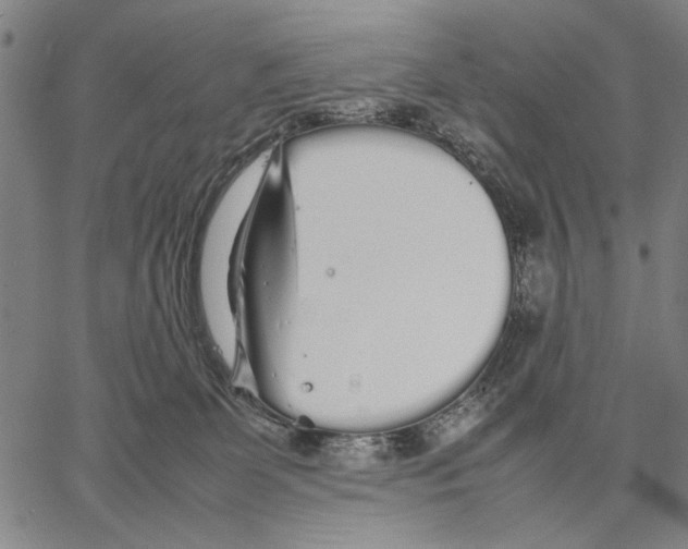 X0000066080131200604071741