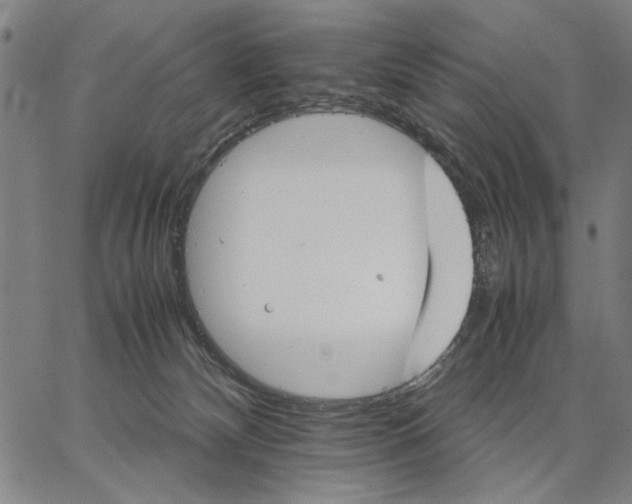 X0000066080132200604071741