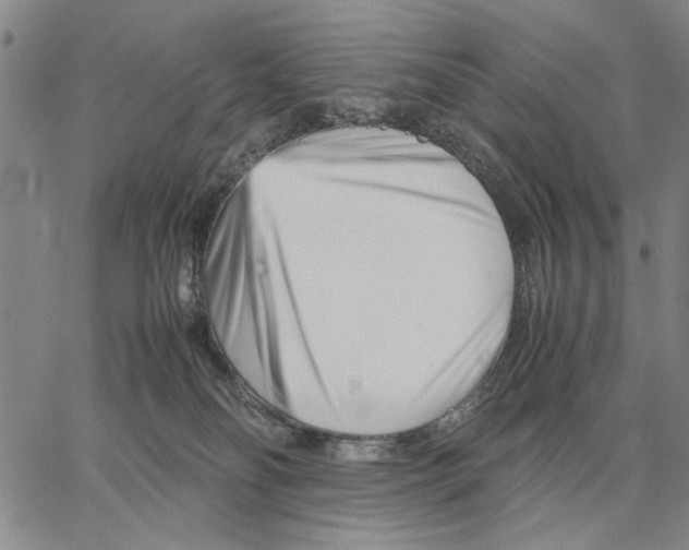 X0000066080134200604071741