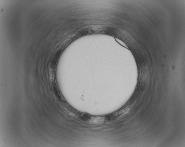 X0000066080135200604071741