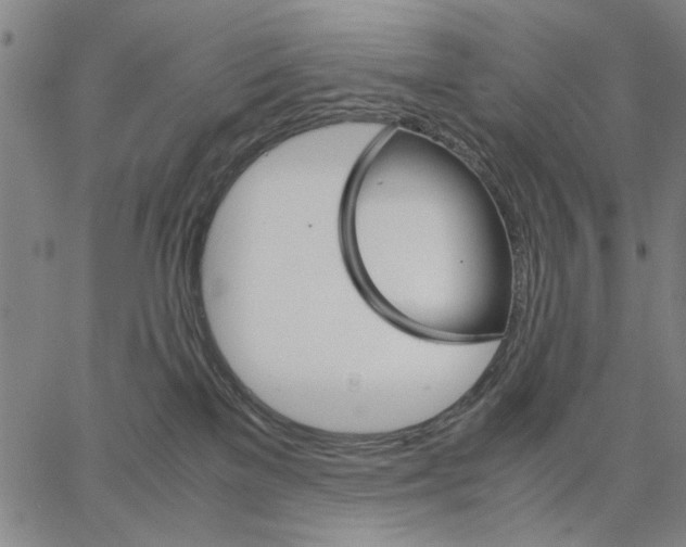 X0000066080137200604071741