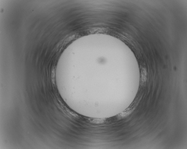 X0000066080138200604071741