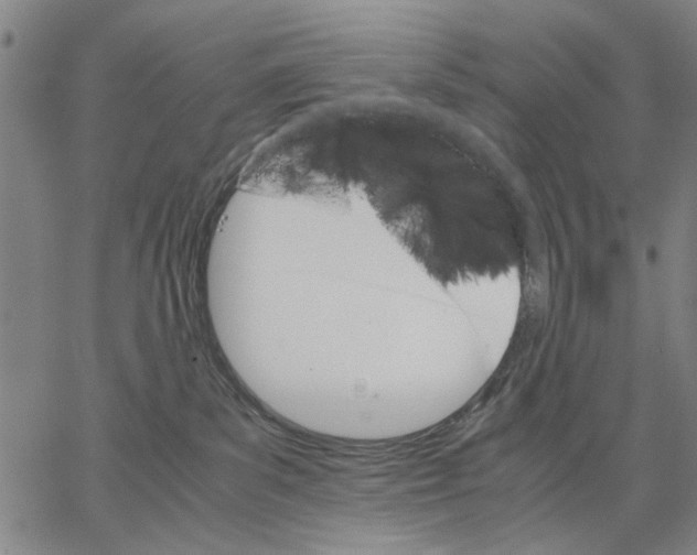 X0000066080139200604071741