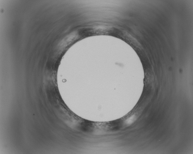 X0000066080141200604071741