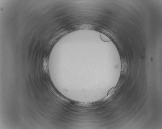 X0000066080142200604071741