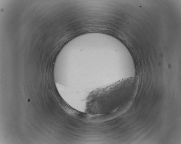 X0000066080143200604071741