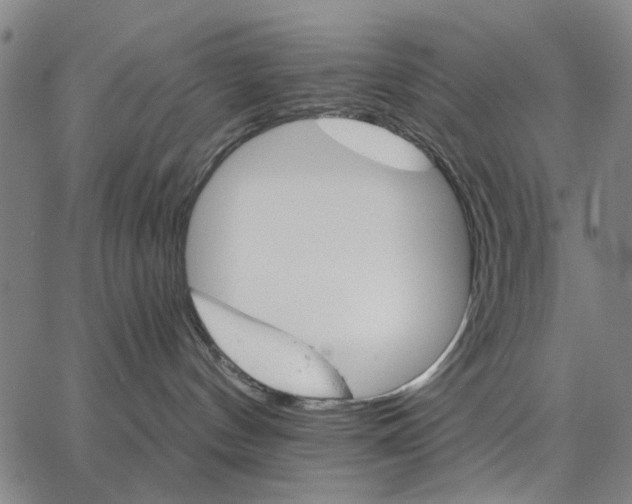 X0000066080144200604071741