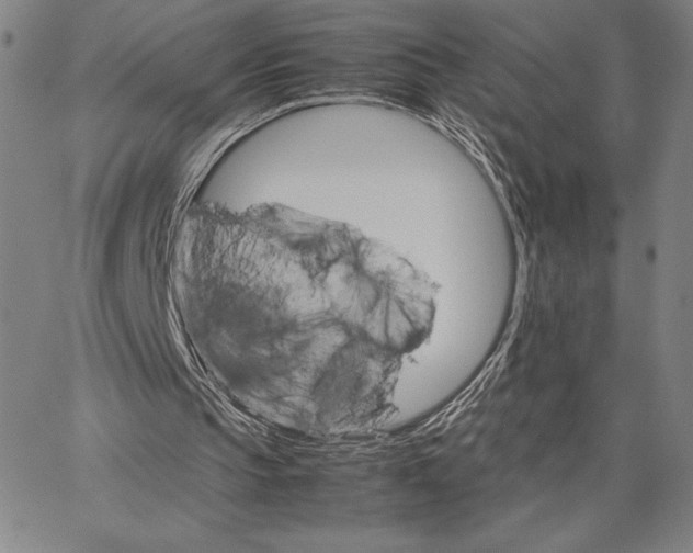 X0000066080145200604071740