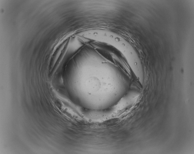 X0000066080146200604071740