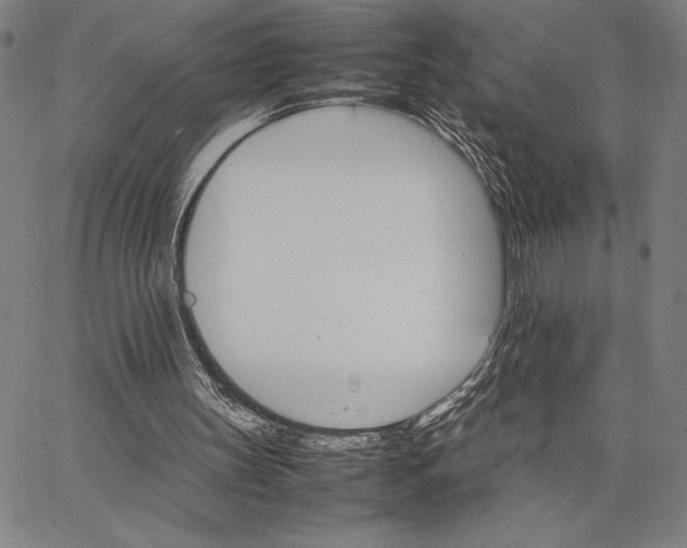 X0000066080147200604071740