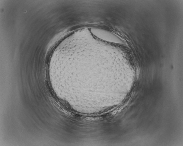 X0000066080149200604071740