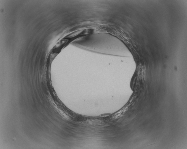 X0000066080150200604071740