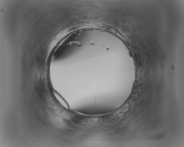 X0000066080152200604071740