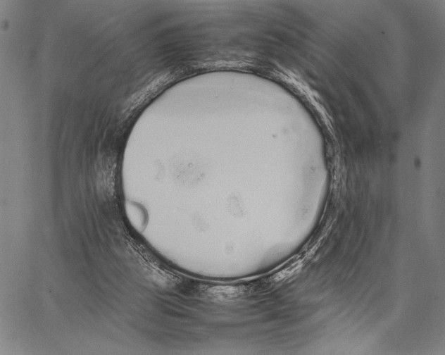 X0000066080153200604071740