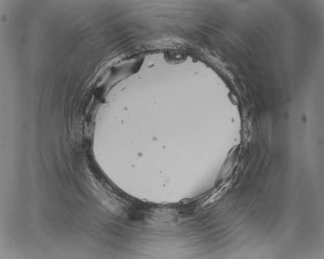 X0000066080154200604071740