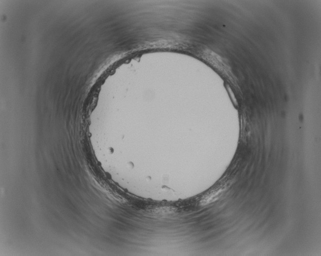 X0000066080156200604071740