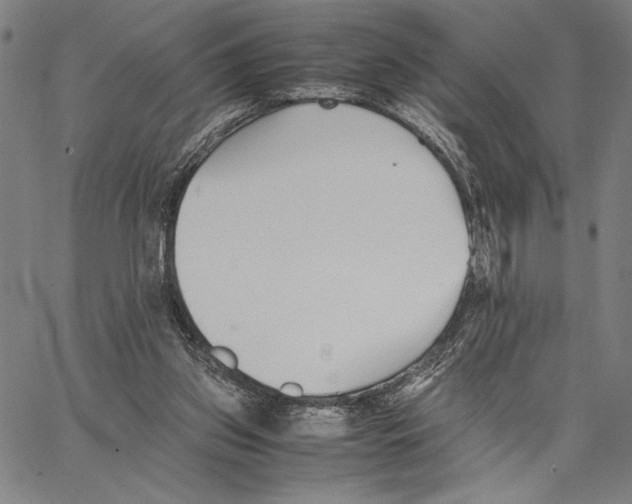 X0000066080157200604071740