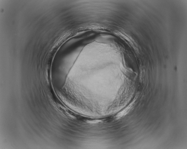 X0000066080158200604071740