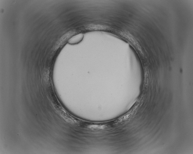 X0000066080159200604071740