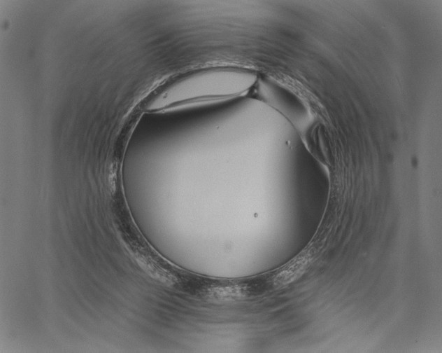 X0000066080160200604071740