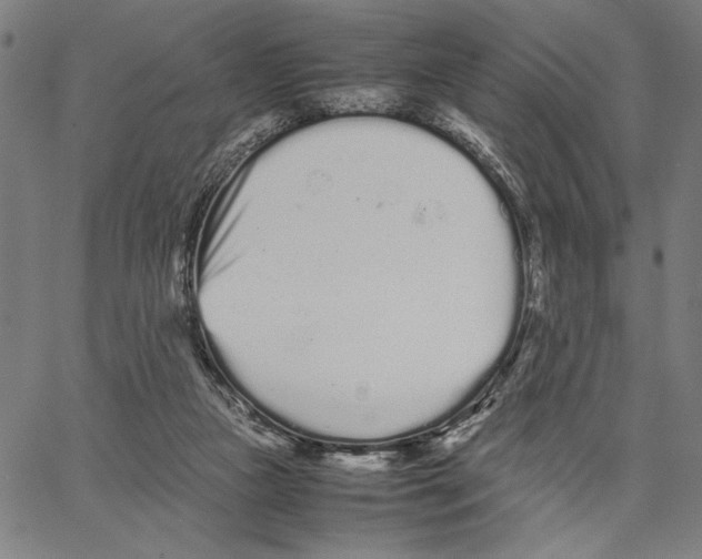 X0000066080161200604071740