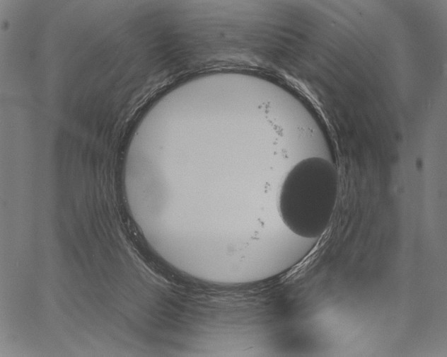 X0000066080162200604071740