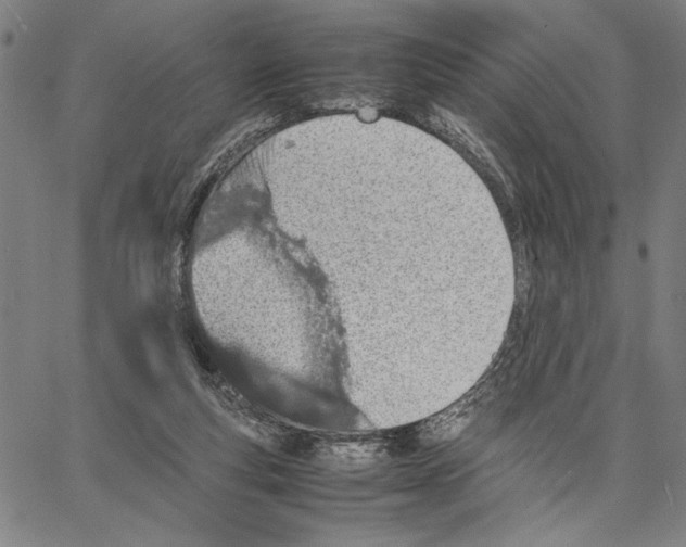 X0000066080163200604071740