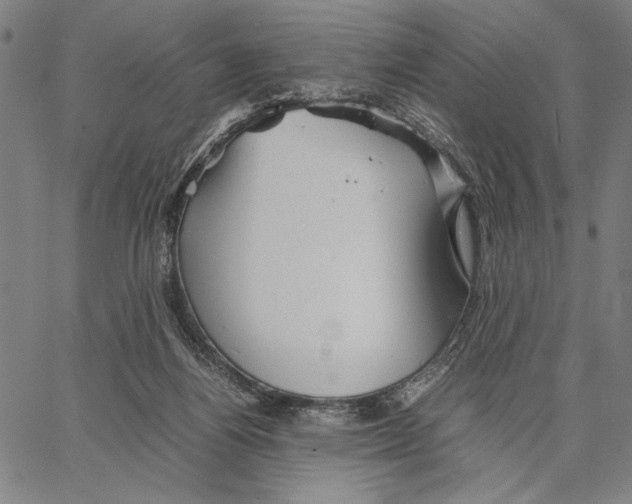 X0000066080164200604071741