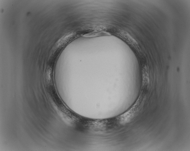 X0000066080166200604071741