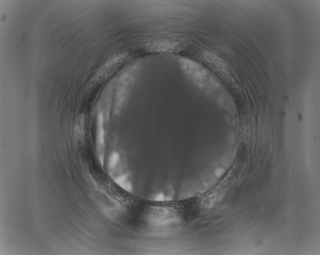 X0000066080167200604071741