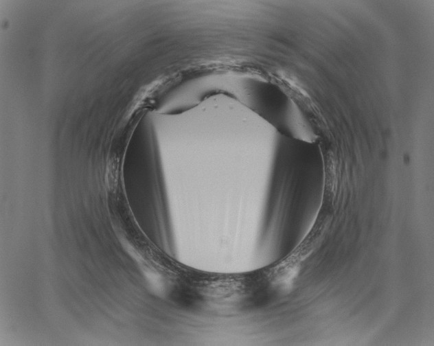 X0000066080168200604071741