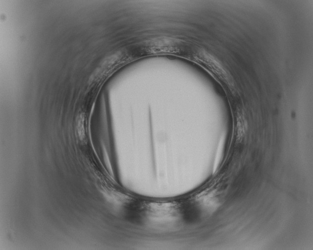 X0000066080169200604071741