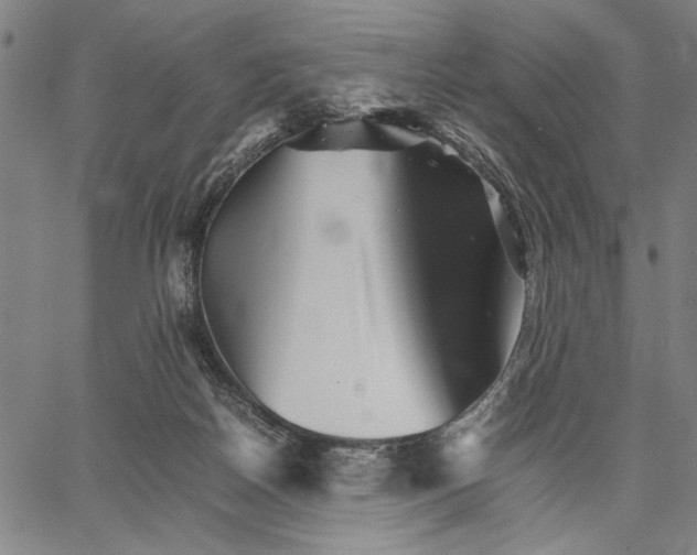 X0000066080170200604071741