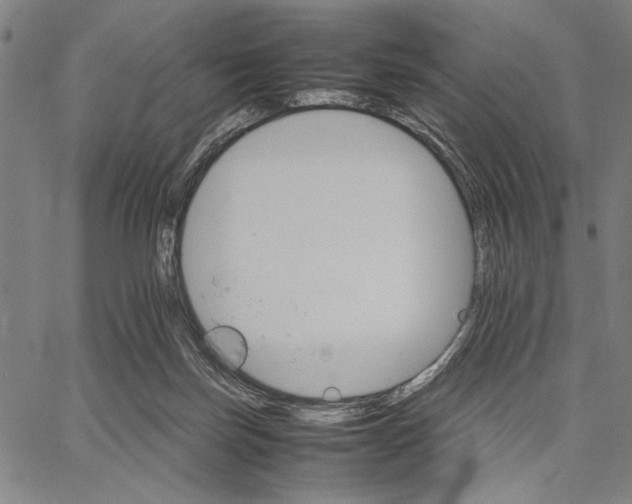 X0000066080171200604071741