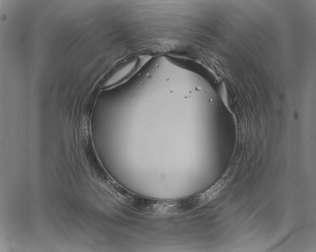 X0000066080172200604071741