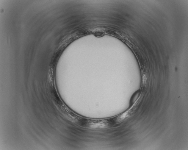 X0000066080175200604071741