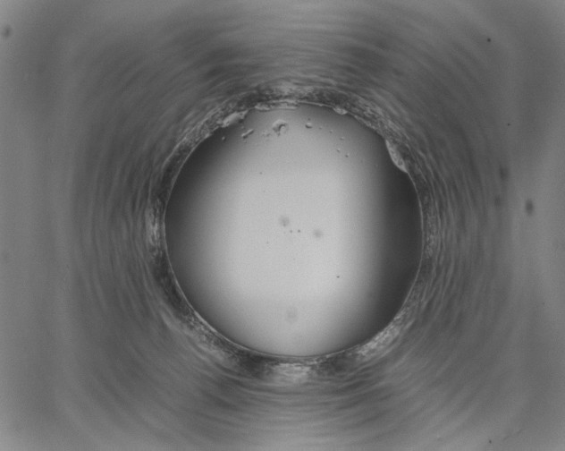 X0000066080176200604071741