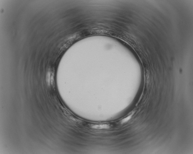 X0000066080177200604071741