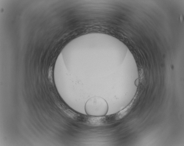 X0000066080178200604071741